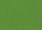 leaf leaf