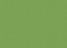 leaf leaf